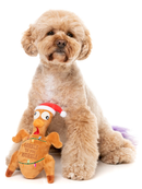 $1 OFF! FuzzYard Gobble Til You Wobble Turkey Plush Squeaky Dog Toy