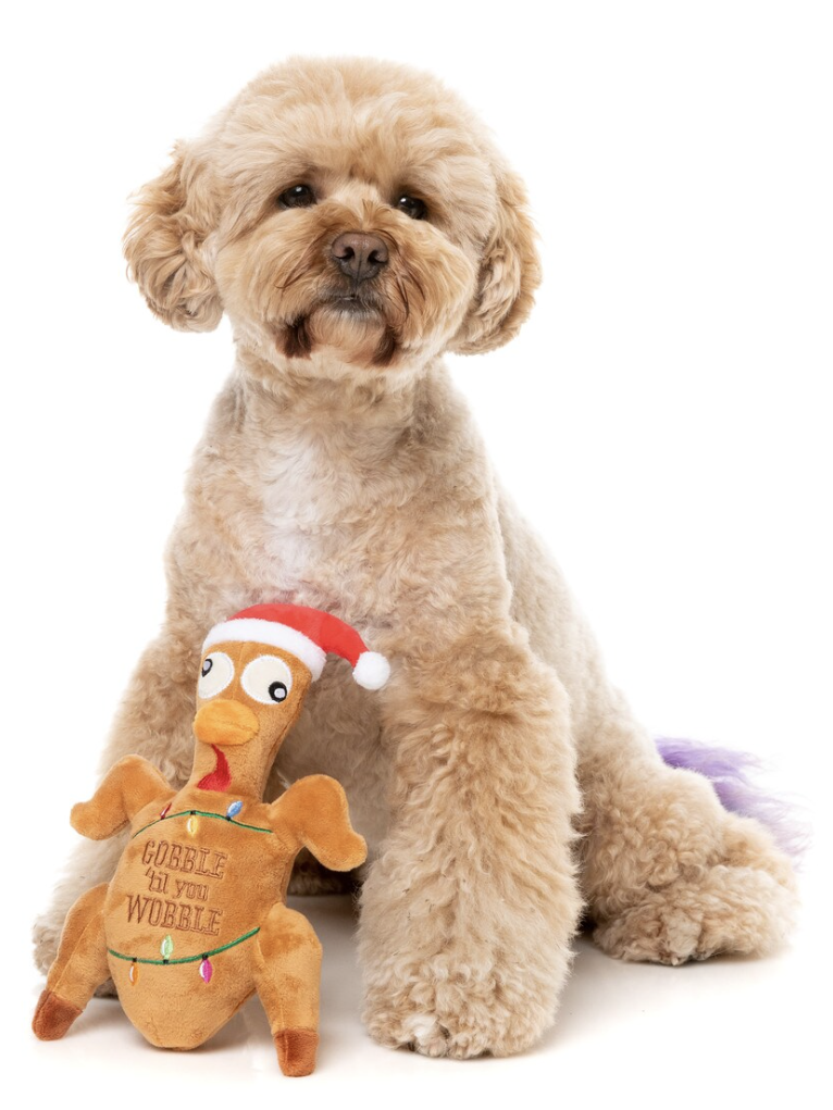 FuzzYard Gobble Til You Wobble Turkey Plush Squeaky Dog Toy