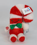 Small Stuffed & SQUEAKY Plush Holiday & Winter Dog Toys