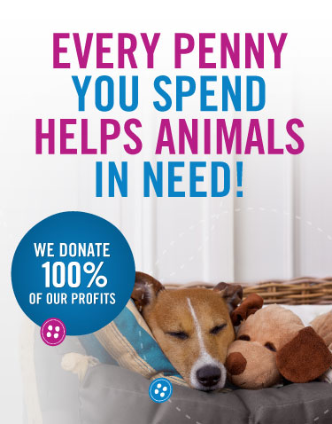 Where to Donate Dog Toys near Me: Top Local Charities to Help Pets