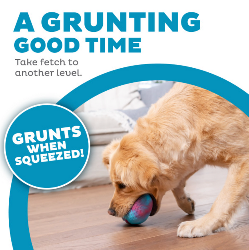 Petstages Grunt N' Punt Football Dog Toy CHEAPER THAN CHEWY