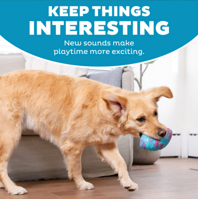 Petstages Grunt N' Punt Football Dog Toy CHEAPER THAN CHEWY