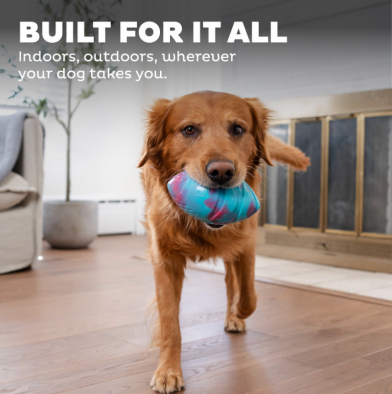 Petstages Grunt N' Punt Football Dog Toy CHEAPER THAN CHEWY