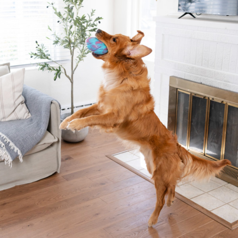 Petstages Grunt N' Punt Football Dog Toy CHEAPER THAN CHEWY