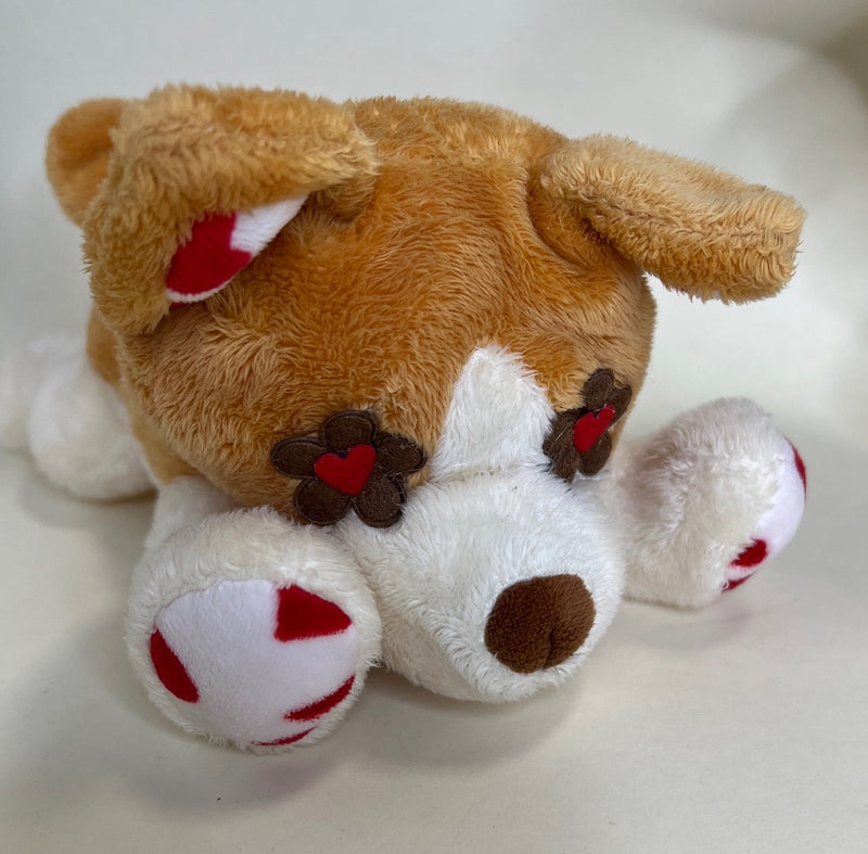 Hearts, Love & Candy Dog Toy: Squeak & NO Squeak, All Sizes