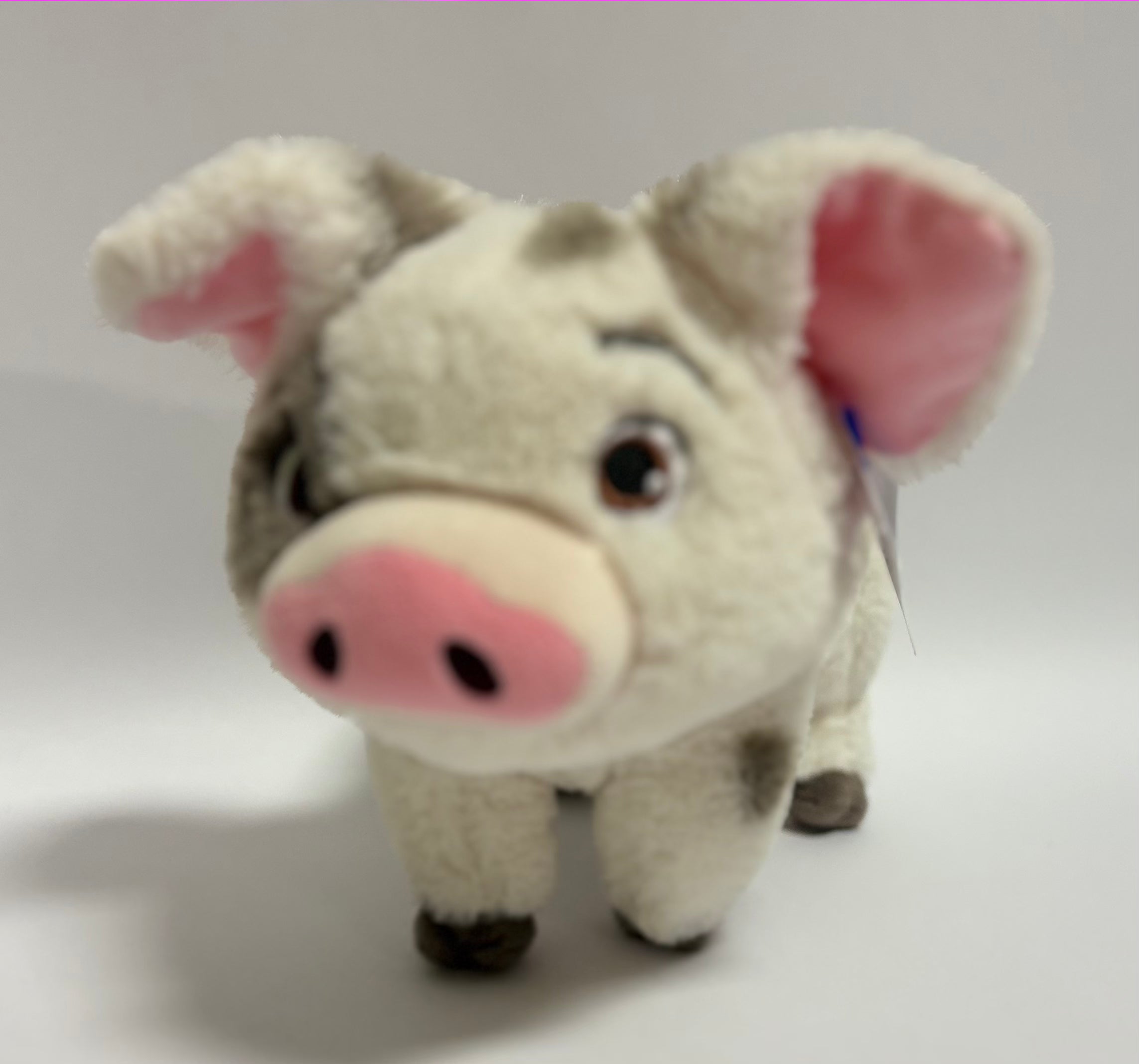 Medium 'Toon Town Pop Culture Squeaky & NO Squeak Dog Toys: 8