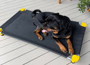 4Legs4Pets Elevated Pet Bed: PITTSBURGH Football Team Spirit