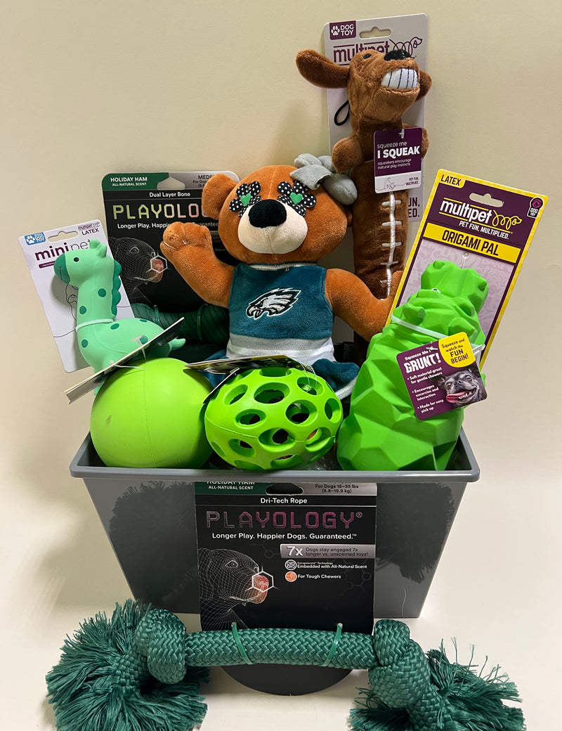 $10 OFF! Eagles Cheerleader Dog Toys Gift Basket