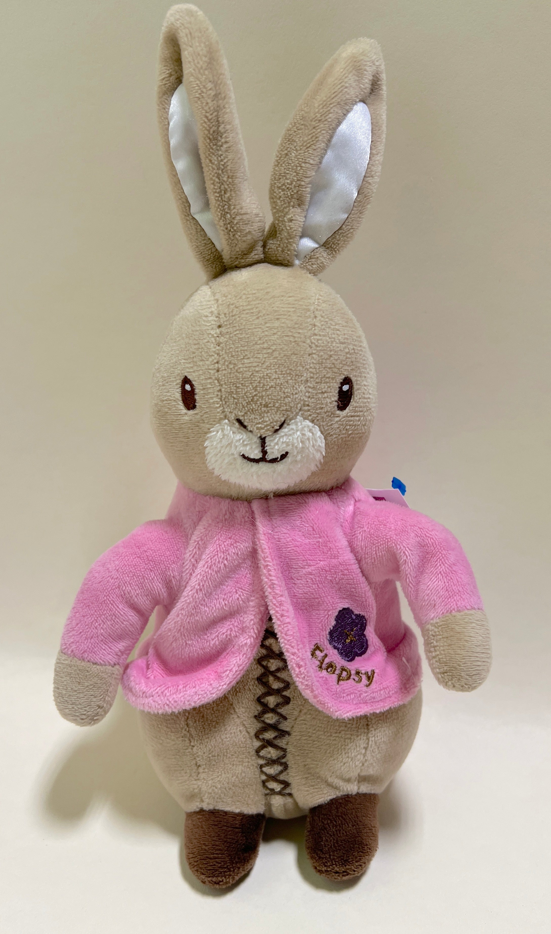 Small Squeaky & NO Squeak 'Toon Town Dog Toy from Pop Culture: 6