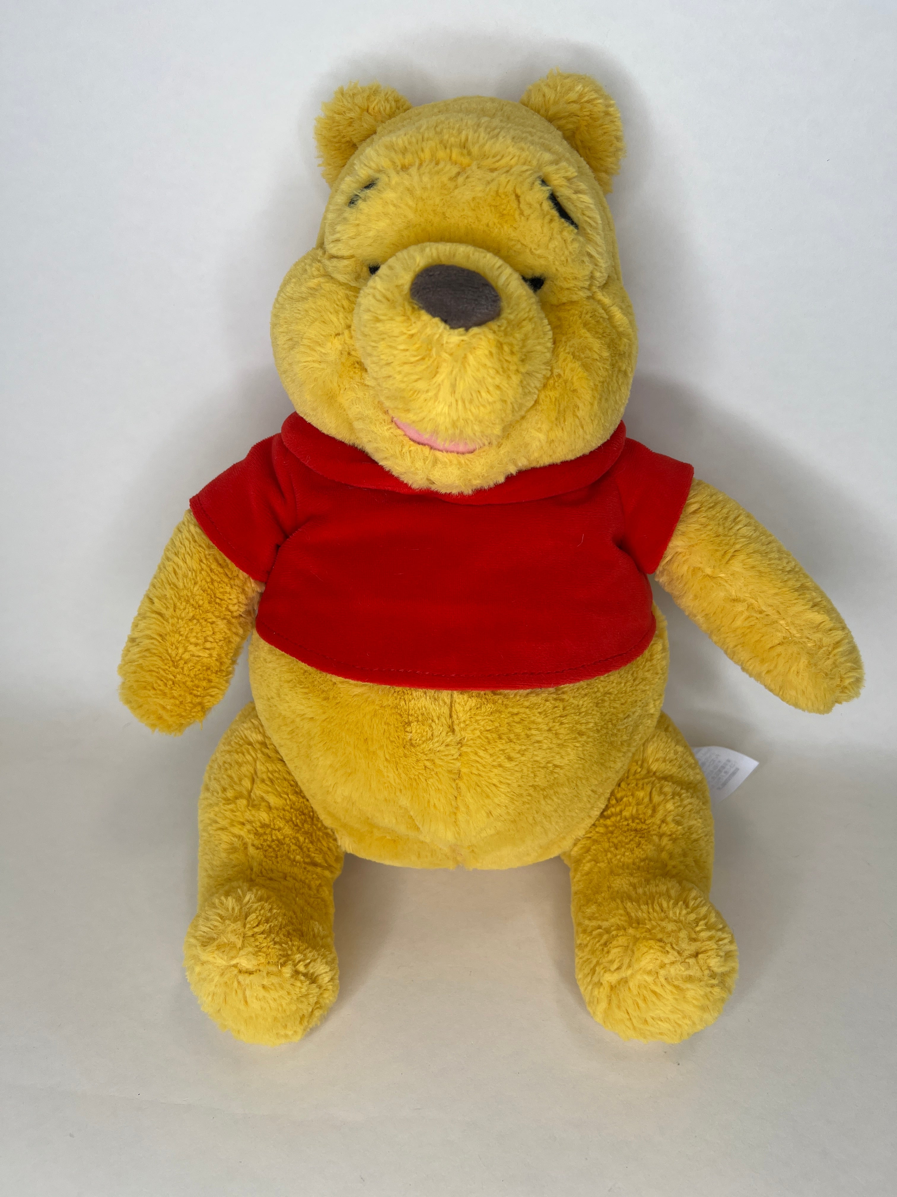 Winnie the Pooh Squeaky & NO Squeak Dog Toys: All Sizes