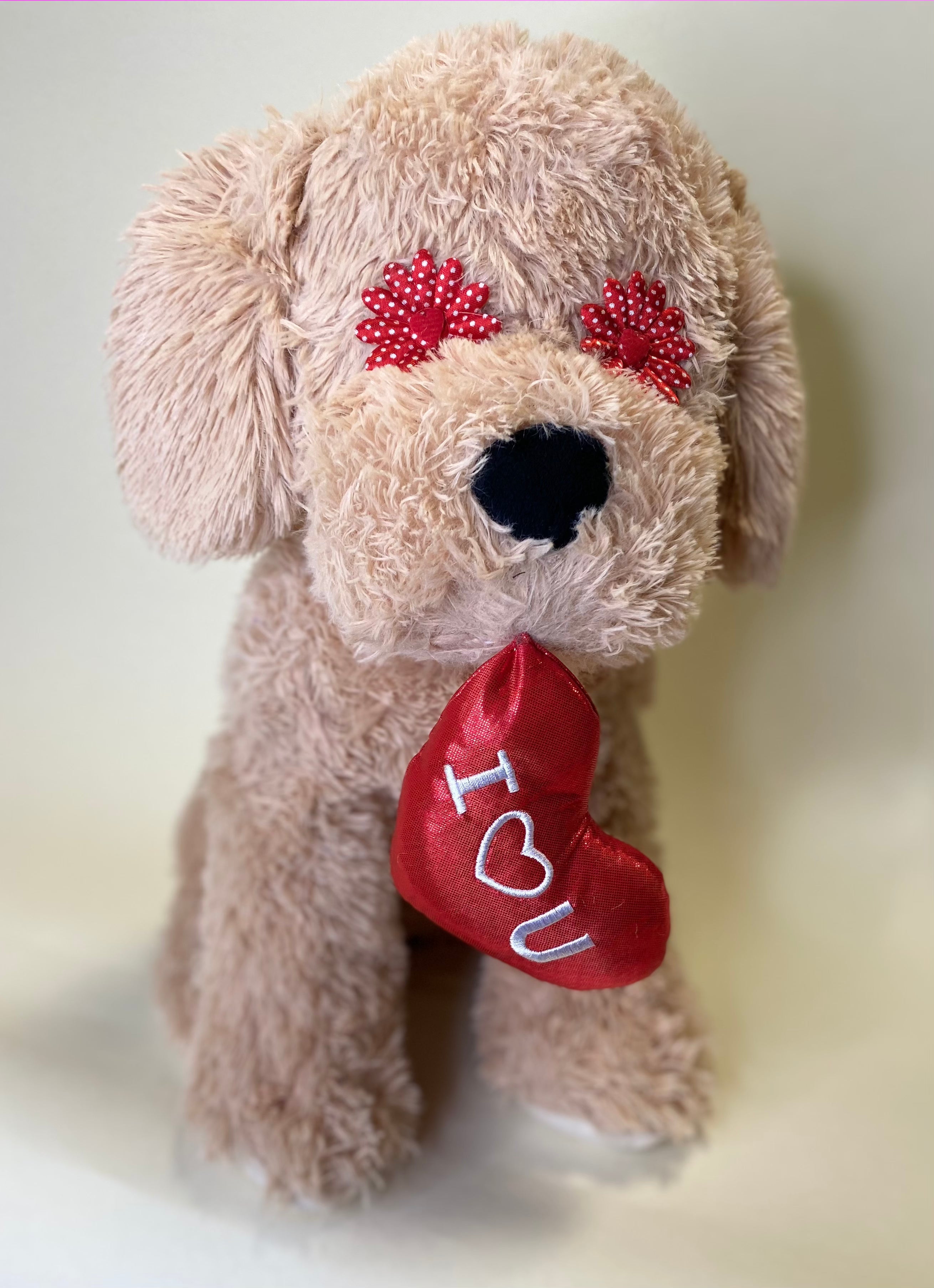 Hearts, Love & Candy Dog Toy: Squeak & NO Squeak, All Sizes