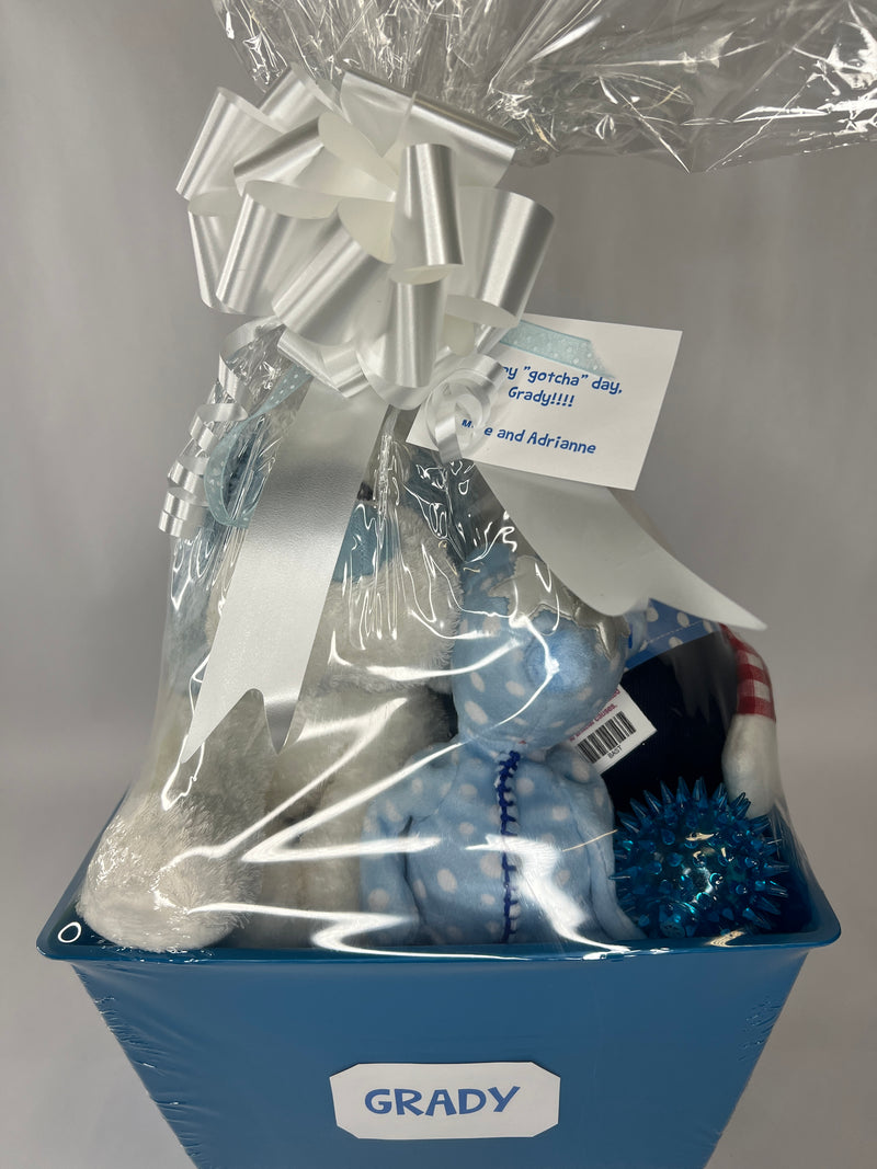 Boy-oh-Boy SQUEAKY Gift Basket for Dogs & Puppies: 3 Sizes