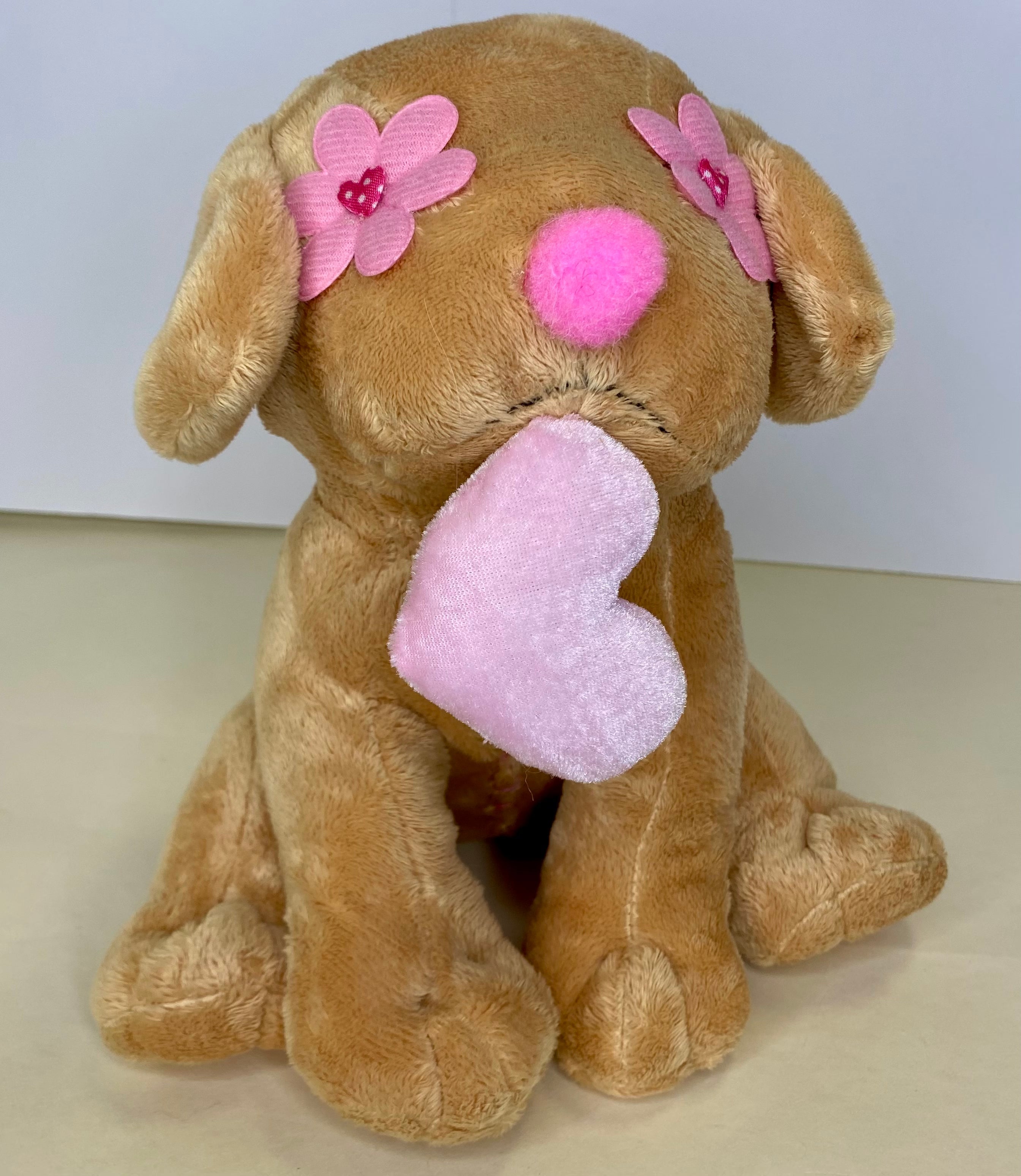 Hearts, Love & Candy Dog Toy: Squeak & NO Squeak, All Sizes