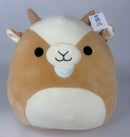 Large Squishy Cuddlers Super Soft Plush Pet Toys: Squeak & NO Squeak