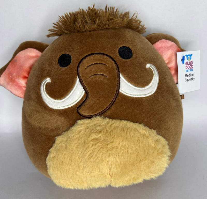 BOGO! Medium Squishy Cuddlers Super Soft Plush Pet Toys: Squeak & NO Squeak