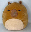 BOGO! Extra Large/XL Squishy Cuddlers Super Soft Plush Pet Toys: Squeak & NO Squeak