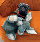 KONG Comfort Kiddos Elephant Removable Squeaker Plush Dog Toy: 2 Sizes