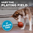 Outward Hound Sport Ballz Basketball Durable Treat-Dispensing Fetch Ball Dog Toy CHEAPER THAN CHEWY