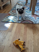 Blaster Baby Lightly-Stuffed Dog Toy with Big SQUEAKER / Beanie Babies with No Beans!