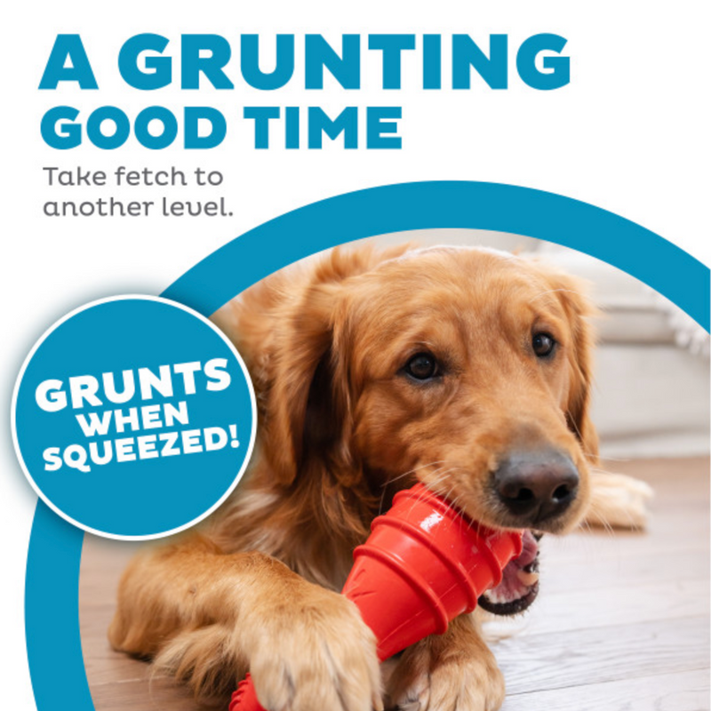 Outward Hound Grunting Fetch Stick Red Bunny Dog Toy