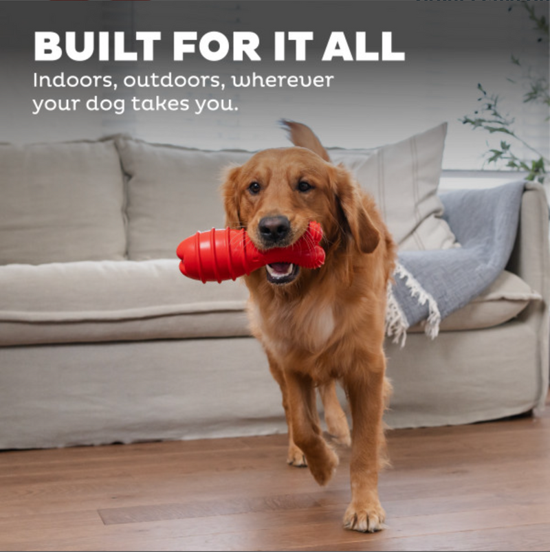 Outward Hound Grunting Fetch Stick Red Bunny Dog Toy