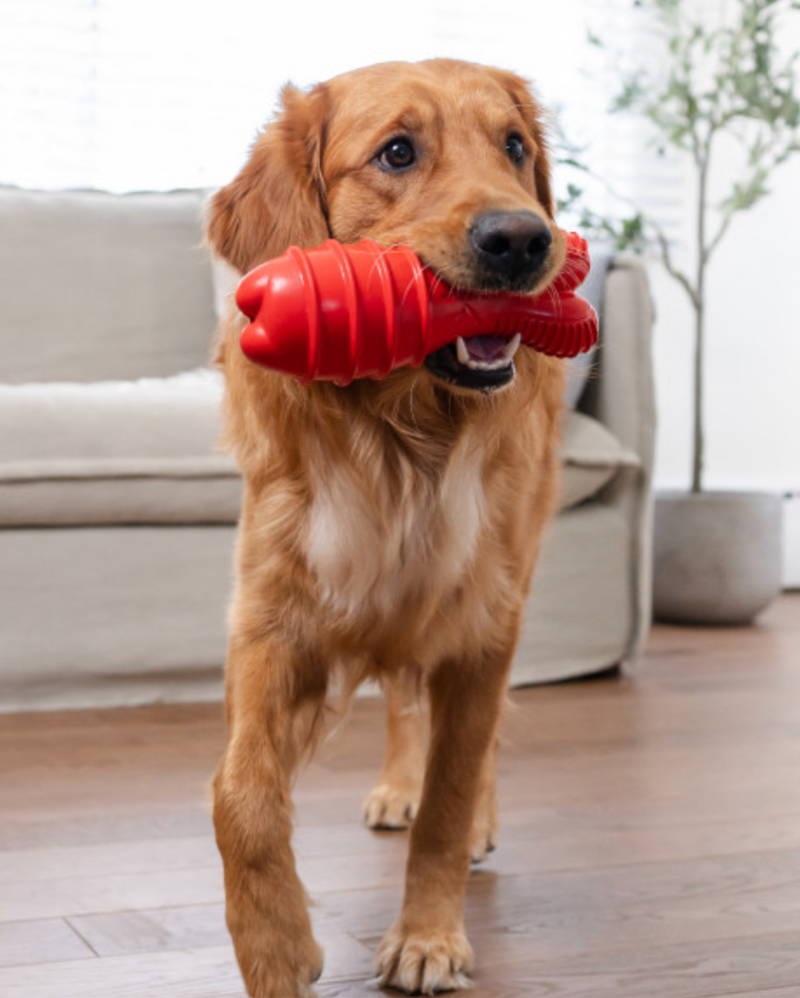 Outward Hound Grunting Fetch Stick Red Bunny Dog Toy