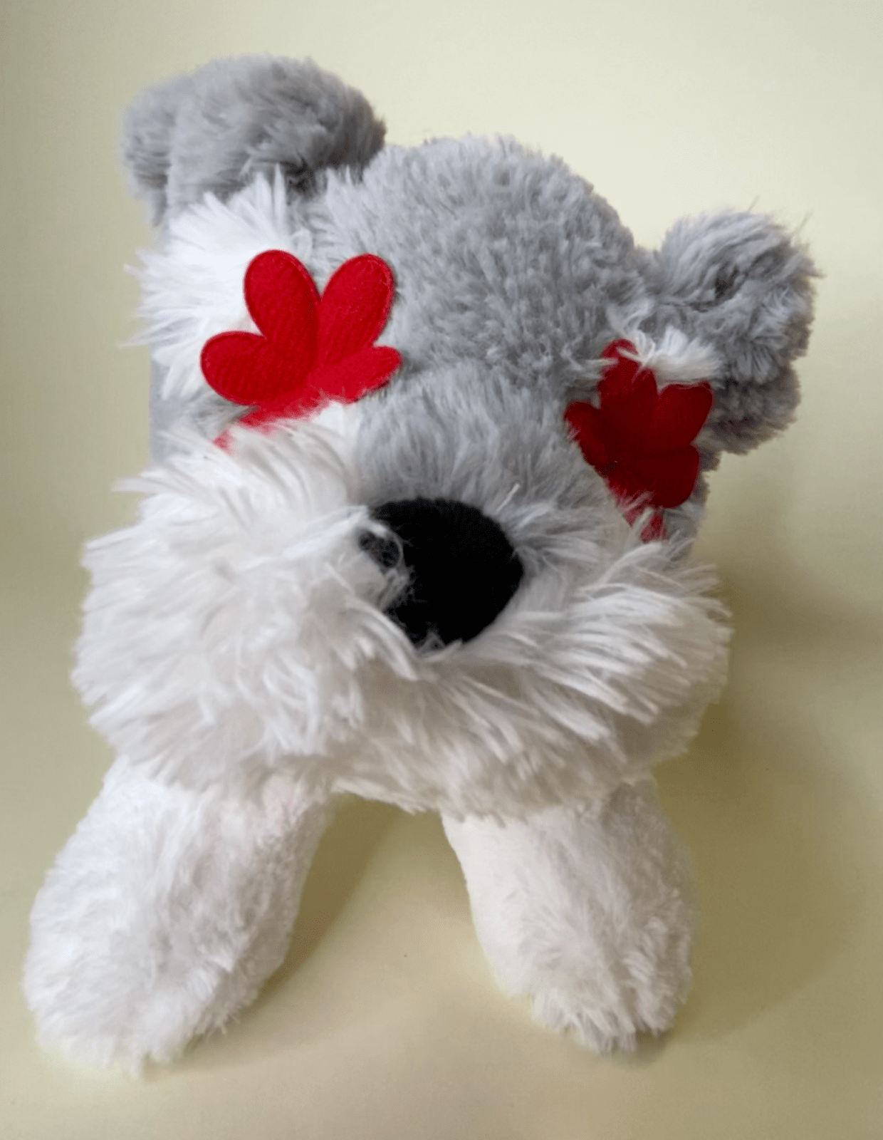 Hearts, Love & Candy Dog Toy: Squeak & NO Squeak, All Sizes