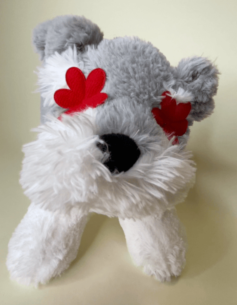 Hearts, Love & Candy Dog Toy: Squeak & NO Squeak, All Sizes