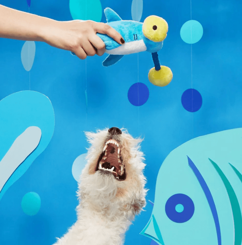 BARK Big Bill & Beak-A-Boo Fish Dog Toy