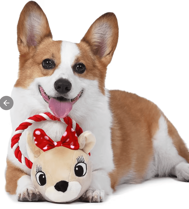 50% OFF! Rudolph the Red-Nosed Reindeer 7.5" Clarice Squeaky Dog Toy