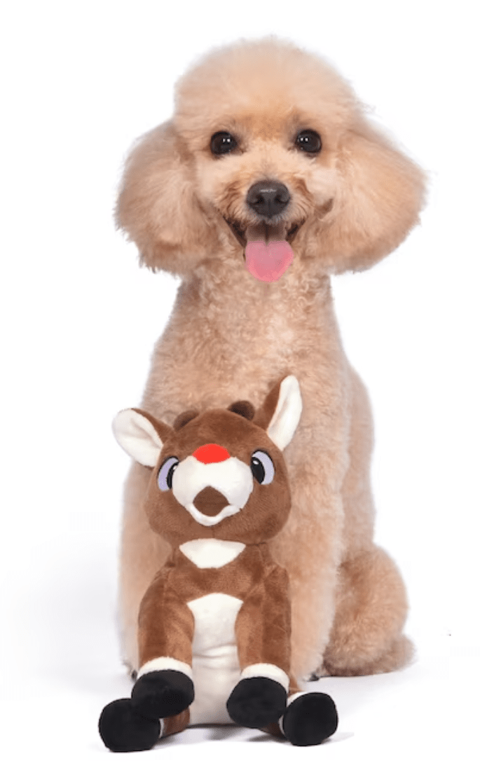 50% OFF! Rudolph the Red-Nosed Reindeer 9