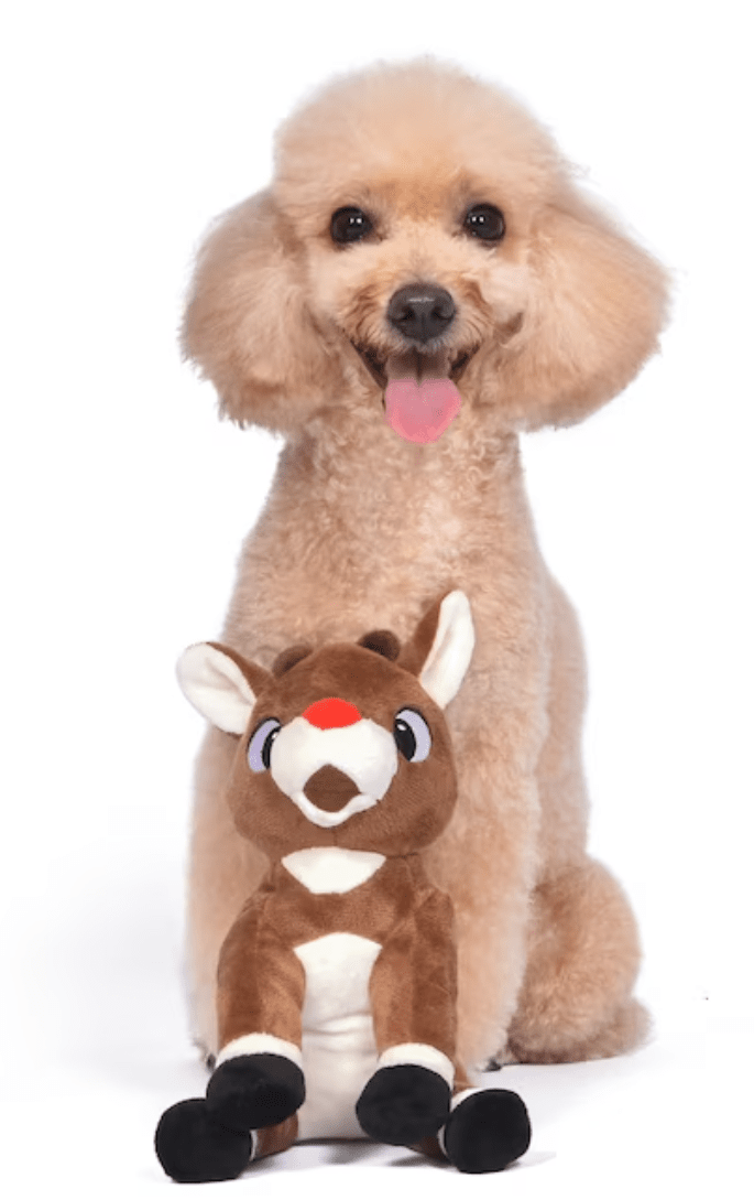 50% OFF! Rudolph the Red-Nosed Reindeer 9" Squeaky Dog Toy
