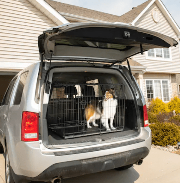 Pet Essentials Wire Dog Crate Medium 3'L x 2'W x 2.2'H