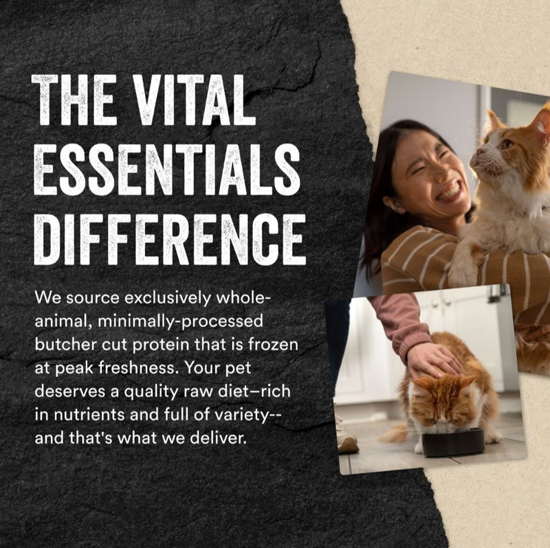 Vital Essentials Freeze-Dried Raw Chicken Giblets Cat Treats