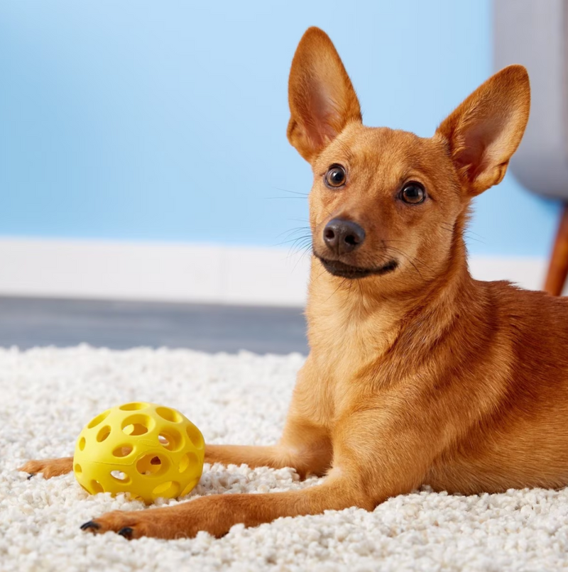 JW Pet Hol-ee Football Dog Toy: 4 Sizes, Choose Your Color