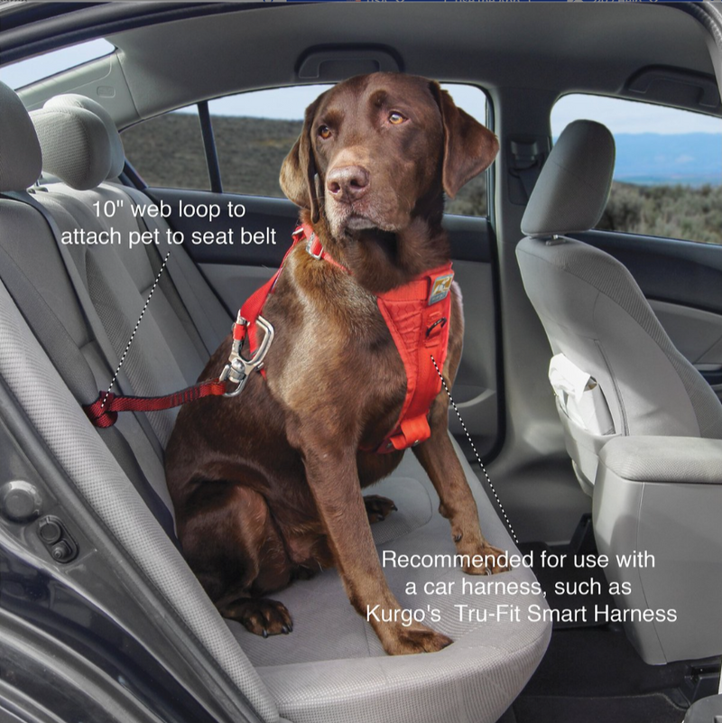 $5 OFF! Kurgo Swivel Seat-Belt Tether Safe Travel Tool for Dogs