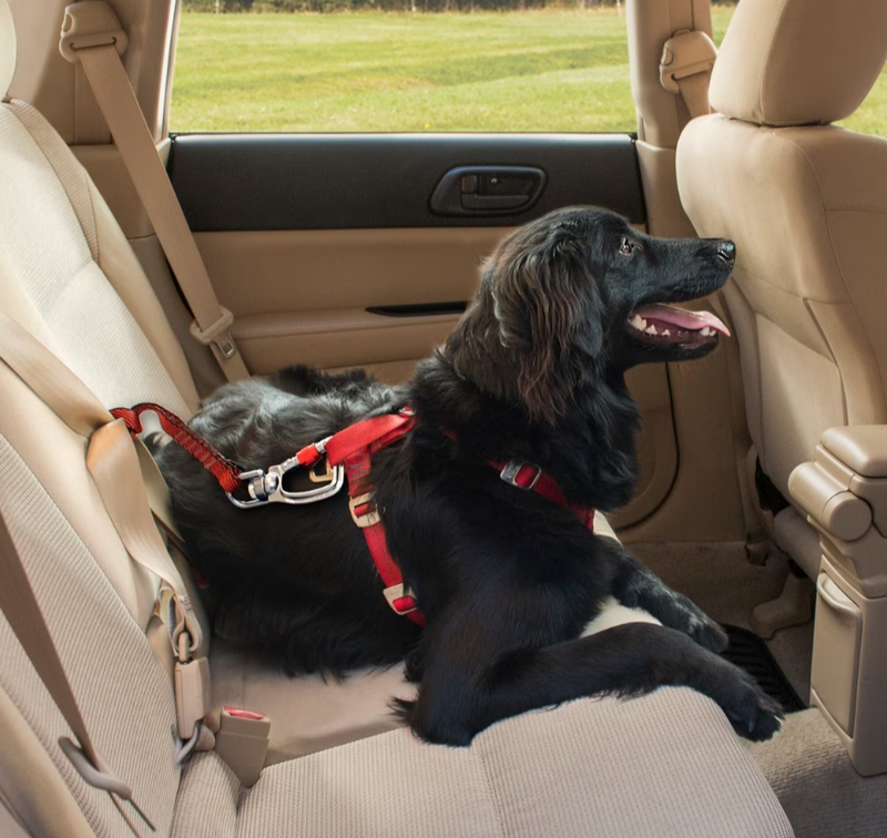 Kurgo Swivel Seat-Belt Tether Safe Travel Tool for Dogs