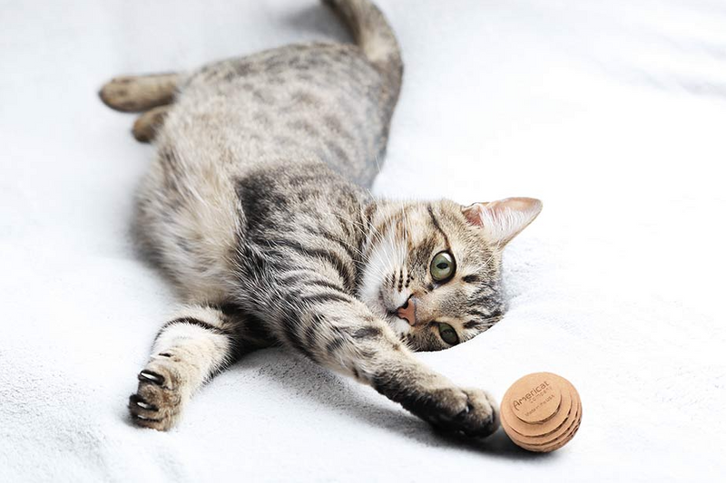 Americat Eco-Friendly Cat Ball Toys 3 Pack