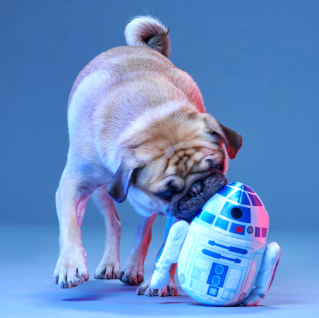 $2 OFF! BARK Star Wars The Droid You're Looking For Dog Toy with Surprise Toy Inside