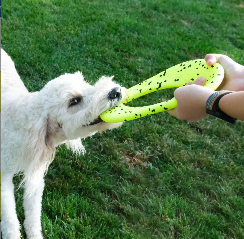 KONG Reflex Flyer Dog Toy Yellow / Floats! CHEAPER THAN CHEWY