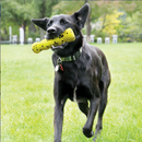 $2 OFF! KONG Reflex Stick Dog Fetch Toy / Floats! CHEAPER THAN CHEWY
