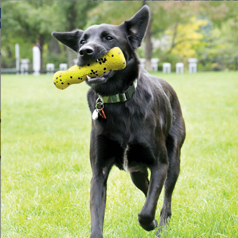 KONG Reflex Stick Dog Fetch Toy / Floats! CHEAPER THAN CHEWY