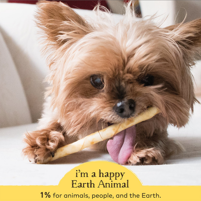 Earth Animal No Hide Chews Dog & Cat Treats Stix 10 Pack: Venison