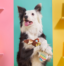 20% OFF! BARK Lil' Bunny Chew Chew Easter Chocolate Bunny Plush Dog Toy