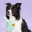20% OFF! BARK Buddy The Nutty Bunny Easter Plush Squeaky Dog Toy
