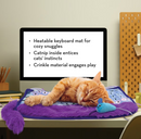 KONG Comfort Key Play Mat Plush Cat Toy with Catnip, Purple