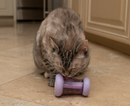 Nala Cat Catnip & Treat Dispenser Wheelie Arch