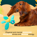 $2 OFF! BARK Stevie Sea Turtle Crinkly Squeaky Plush Dog Toy for Small Dogs