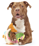 NEW! BARK Brooke Trout Squeaky & Soft Crinkle Plush Dog Toy