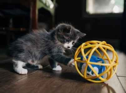 Multipet Sonic the Hedgehog Cage Ball Toy with Bell & Catnip